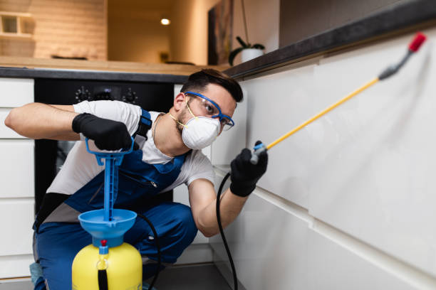 Best Pest Removal Services  in Dorr, MI