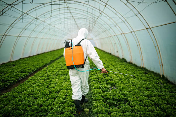 Trusted Dorr, MI Pest Control Experts