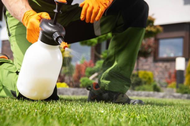 Best Residential Pest Control  in Dorr, MI