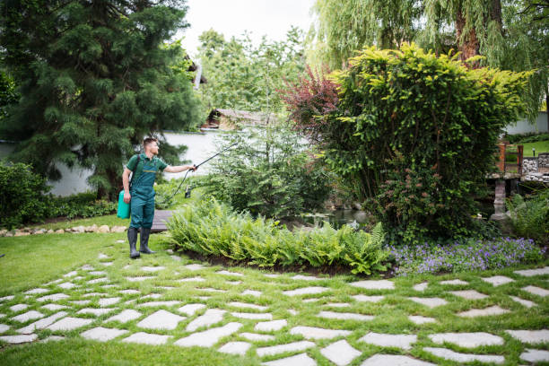 Best Ant Control Services  in Dorr, MI