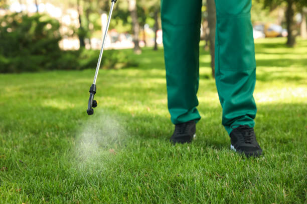 Best Best Pest Control Companies  in Dorr, MI