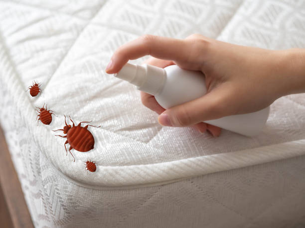 Best Best Pest Control Companies  in Dorr, MI