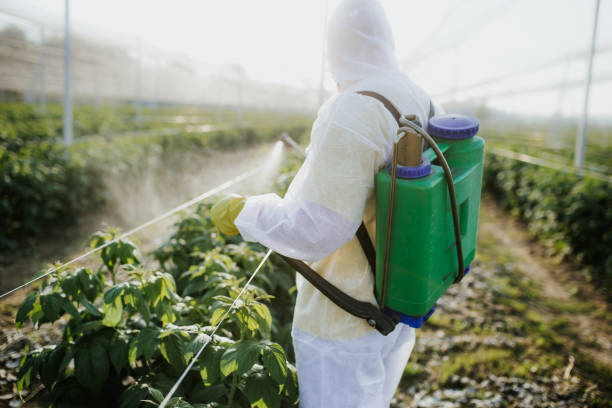 Best Bed Bug Extermination  in Dorr, MI